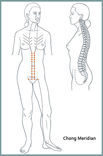 Chong Meridian