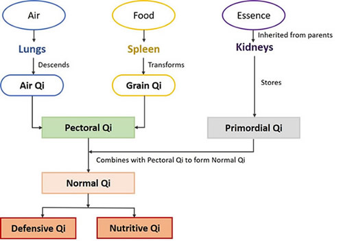 Nomenclature of Qi