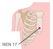 Ren 17 for breast milk